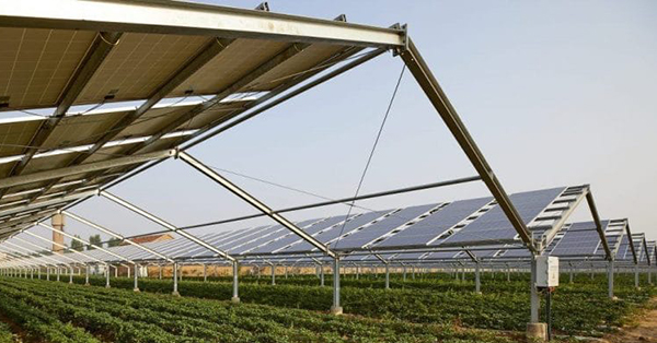 Agro-fotovoltaico/Agrosolar