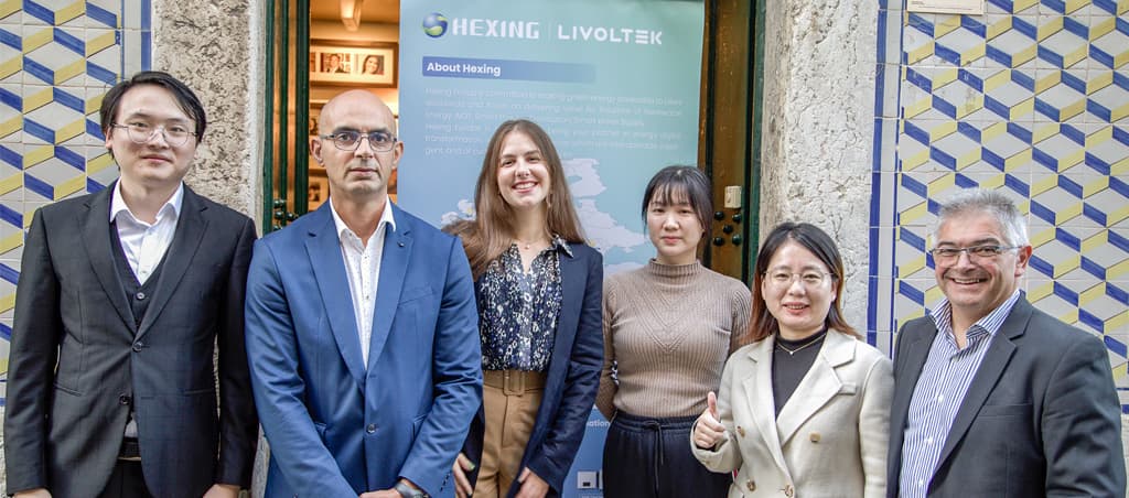 Livoltek quer liderar mercado de soluções fotovoltaicas
